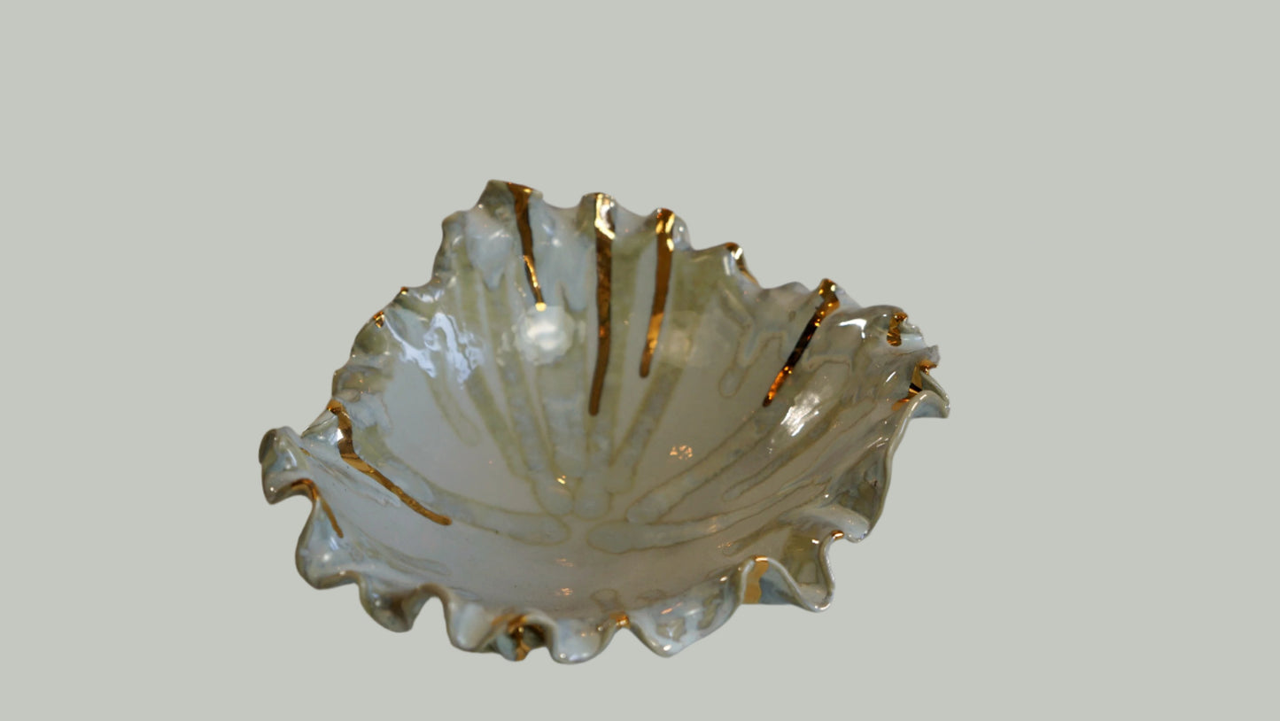 Plate # 4