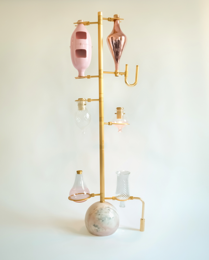 The Emotional Lab Light in Coral