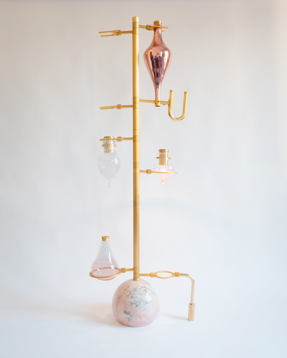 The Emotional Lab Light in Coral