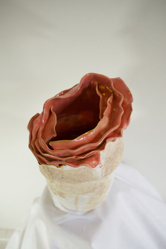 Olé Textured Coral and White